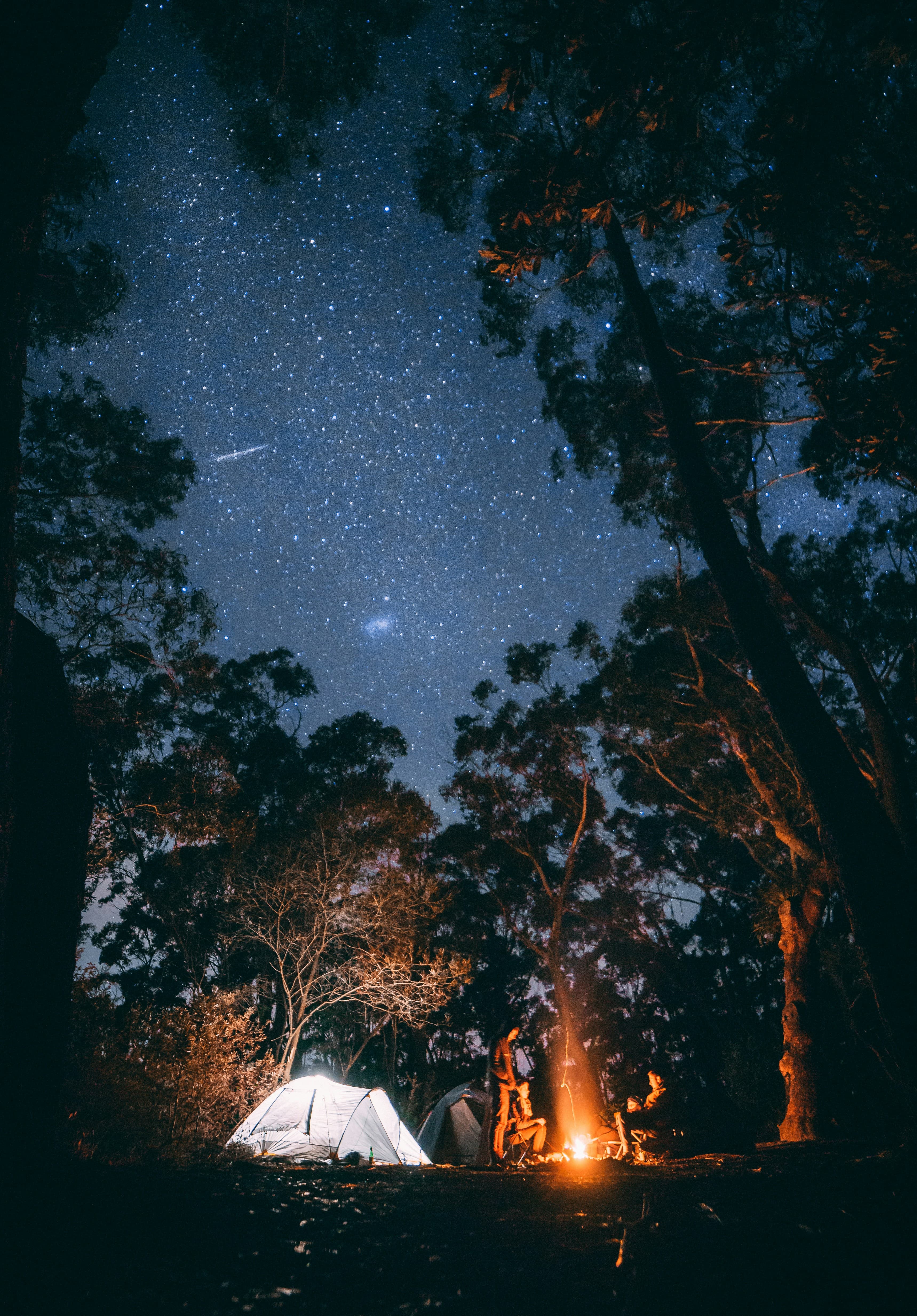 Suasana Highland Camp Curug Panjang di Bogor